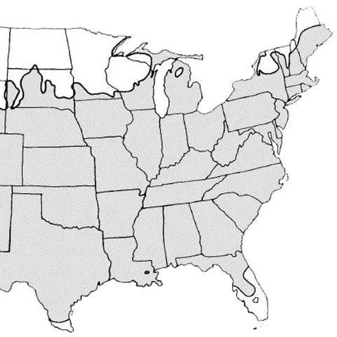 thumbnail for publication: Aster laevis Smooth Aster